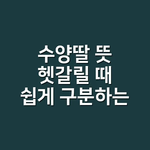 수양딸 뜻 헷갈릴 때 쉽게 구분하는 방법 - 요약