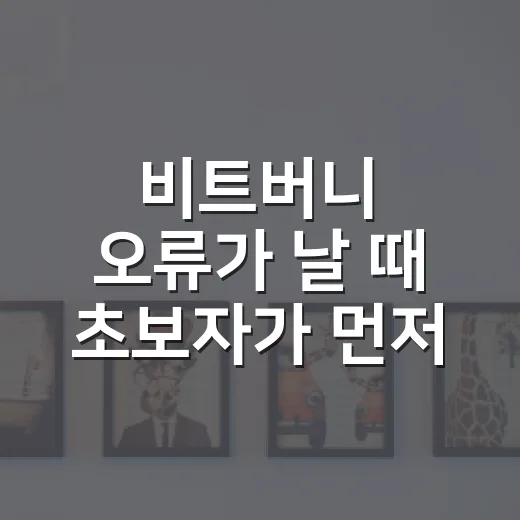 비트버니 오류가 날 때 초보자가 먼저 확인하는 방법 - 요약