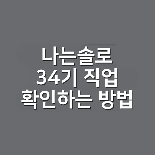 나는솔로 34기 직업 확인하는 방법, 공개된 정보만 빠르게 보기 - 요약