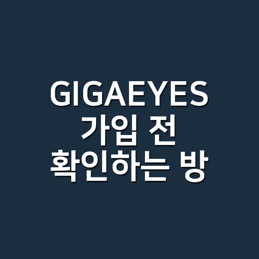 GIGAEYES 가입 전 확인하는 방법, 매장 CCTV 고를 때 보는 포인트 - 요약