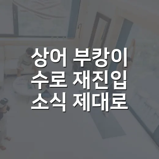상어 부캉이 수로 재진입 소식 제대로 확인하는 방법 - 요약