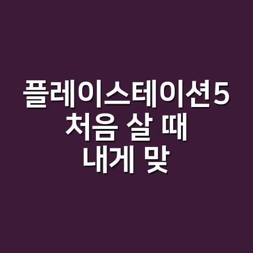 플레이스테이션5 처음 살 때 내게 맞게 고르는 방법 - 요약