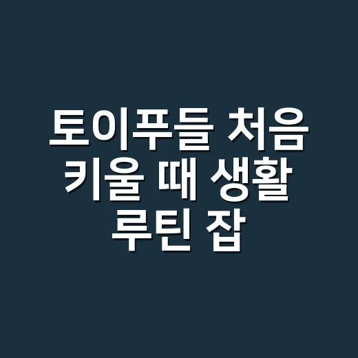 토이푸들 처음 키울 때 생활 루틴 잡는 방법 - 요약