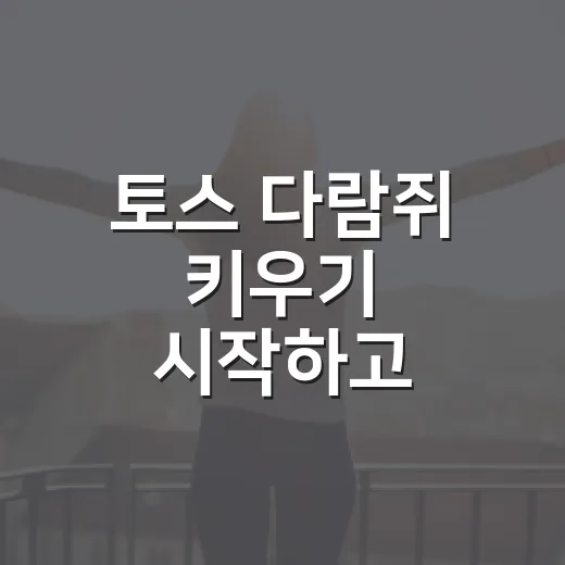 토스 다람쥐 키우기 시작하고 포인트 받는 방법 - 요약