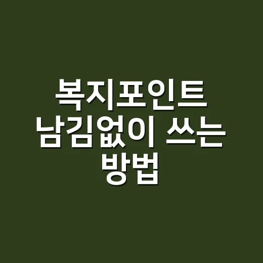복지포인트 남김없이 쓰는 방법 - 요약
