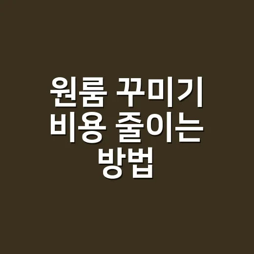 원룸 꾸미기 비용 줄이는 방법, 30만 원부터 150만 원까지 현실적으로 나눠보기 - 요약