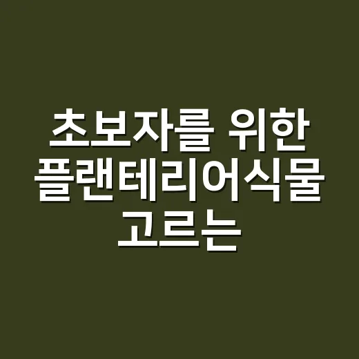 초보자를 위한 플랜테리어식물 고르는 방법, 집 구조별로 이렇게 시작하면 덜 실패합니다 - 요약