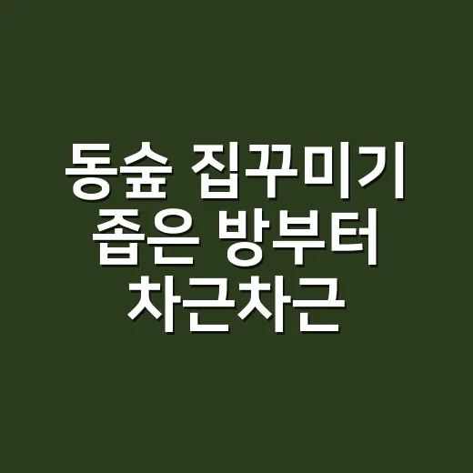 동숲 집꾸미기 좁은 방부터 차근차근 하는 방법 - 요약