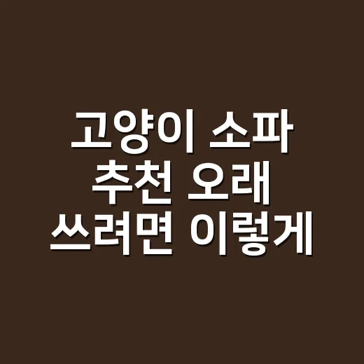 고양이 소파 추천 오래 쓰려면 이렇게 고르세요 - 요약