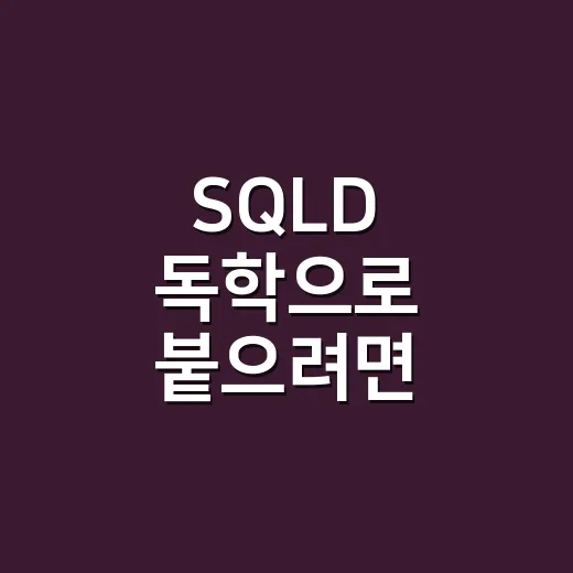 SQLD 독학으로 붙으려면 이렇게 줄여서 공부하세요 - 요약