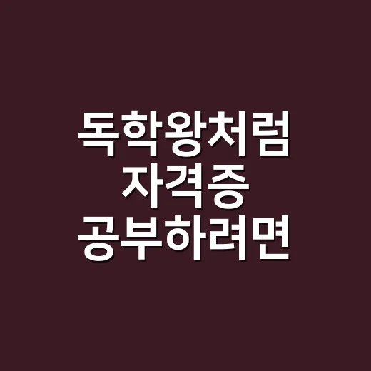 독학왕처럼 자격증 공부하려면 이렇게 줄여야 합니다 - 요약