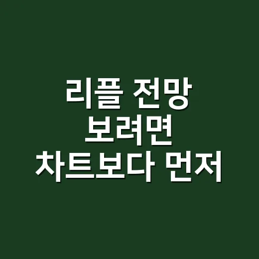 리플 전망 보려면 차트보다 먼저 걸러야 할 것들 - 요약