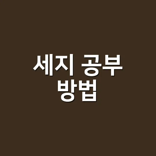 세지 공부 방법, 지도부터 잡아야 점수가 오릅니다 - 요약