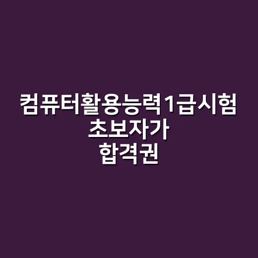 컴퓨터활용능력1급시험 초보자가 합격권까지 줄여서 공부하는 방법 - 요약