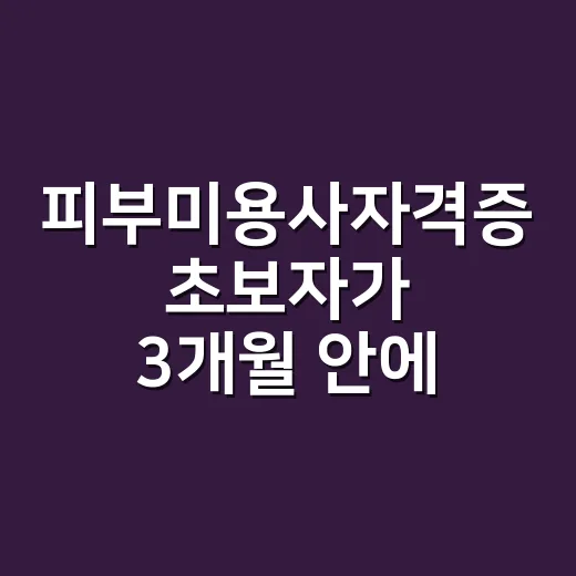 피부미용사자격증 초보자가 3개월 안에 붙으려면 이렇게 준비하는 방법 - 요약