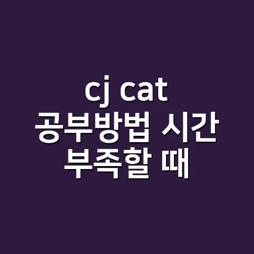 cj cat 공부방법 시간 부족할 때 점수 올리는 법 - 요약