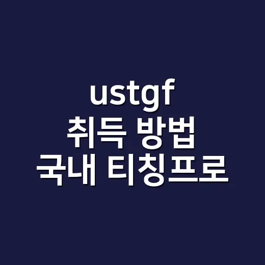 ustgf 취득 방법 국내 티칭프로 시험부터 확인하는 법 - 요약