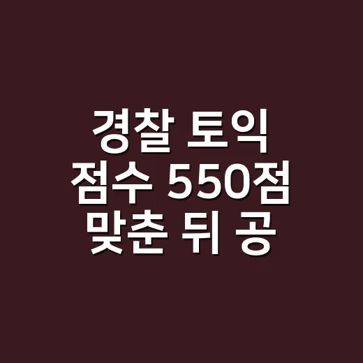 경찰 토익 점수 550점 맞춘 뒤 공부하는 방법 - 요약