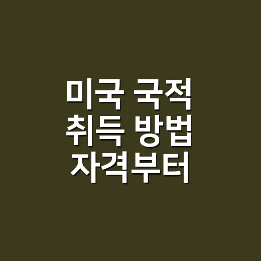미국 국적 취득 방법 자격부터 확인하는 순서 - 요약