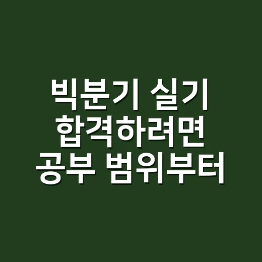빅분기 실기 합격하려면 공부 범위부터 줄이세요 - 요약