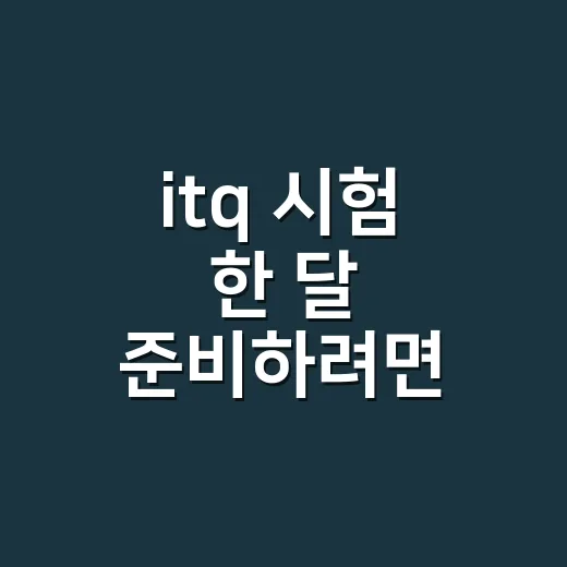 itq 시험 한 달 준비하려면 이렇게 공부하세요 - 요약