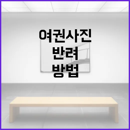 여권사진 규격 맞추는 방법, 반려 없이 준비하려면 이렇게 - 요약