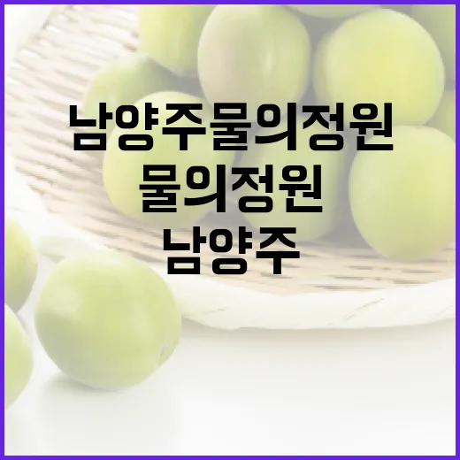 남양주 물의정원 처음 가려면 이렇게 준비하면 편해요 - 요약
