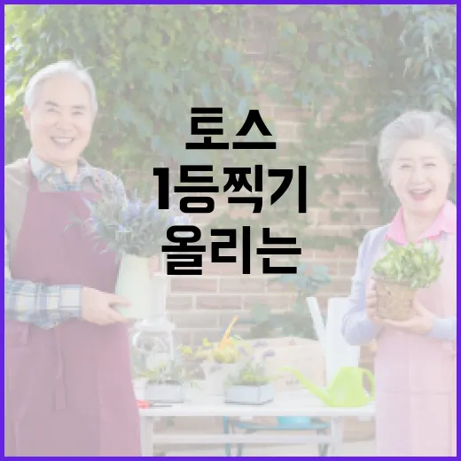 토스 1등찍기 점수 올리는 방법, 초보자가 놓치기 쉬운 포인트 - 요약