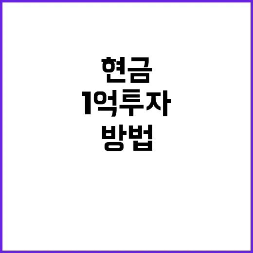 1억투자 시작하는 방법, 현금부터 주식까지 나눠 담는 현실적인 기준 - 요약