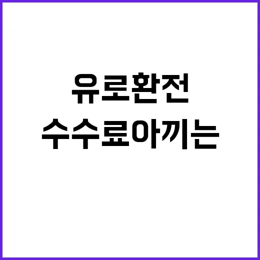유로환전팁 초보자를 위한 수수료 아끼는 방법 - 요약