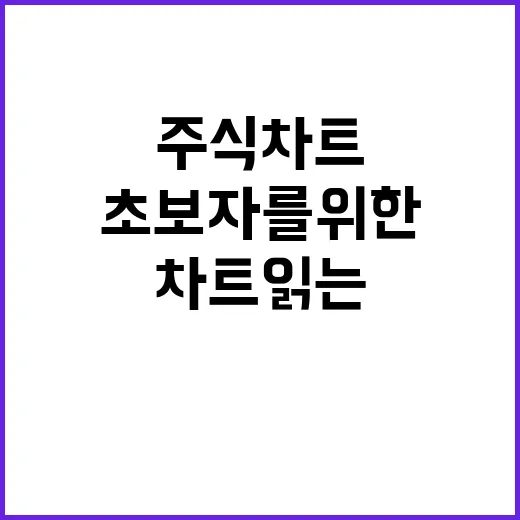 초보자를 위한 주식차트 읽는 방법, 선과 막대부터 차근차근 - 요약