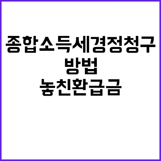 종합소득세경정청구 하는 방법, 놓친 환급금 다시 확인하려면 이렇게 - 요약
