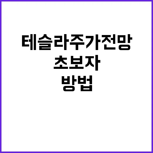 초보자를 위한 테슬라주가전망 확인하는 방법 - 요약