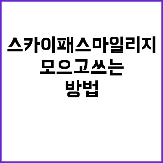 스카이패스 마일리지 잘 모으고 쓰는 방법 - 요약