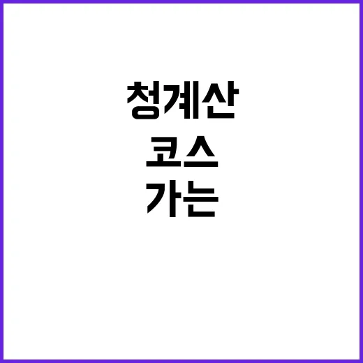 초보자를 위한 청계산 가는 방법과 코스 고르는 법 - 요약