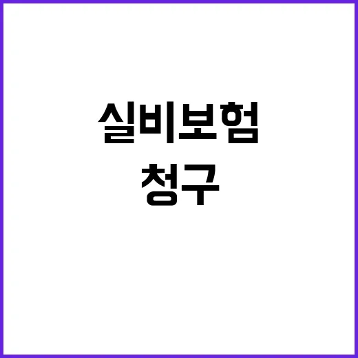 실비 보험 청구와 가입 전 확인하는 방법, 초보자는 이렇게 보면 편해요 - 요약