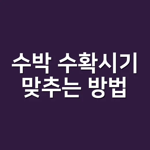 수박 수확시기 맞추는 방법, 초보자도 헷갈리지 않게 보는 기준 - 요약