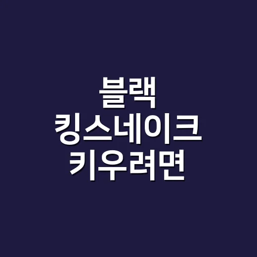 블랙 킹스네이크 키우려면 이렇게 준비하면 편해요 - 요약