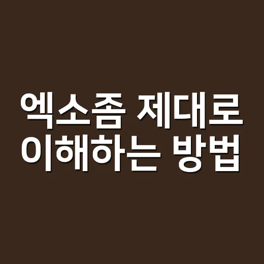 엑소좀 제대로 이해하는 방법, 처음 접한 사람도 헷갈리지 않게 - 요약