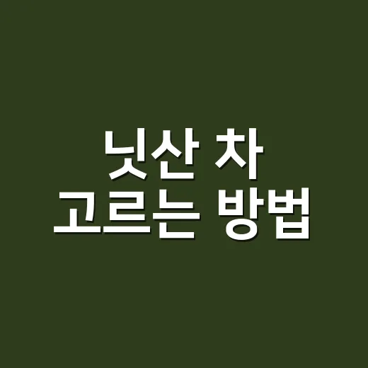 닛산 차 고르는 방법, 초보자가 견적 전에 보는 기준 - 요약