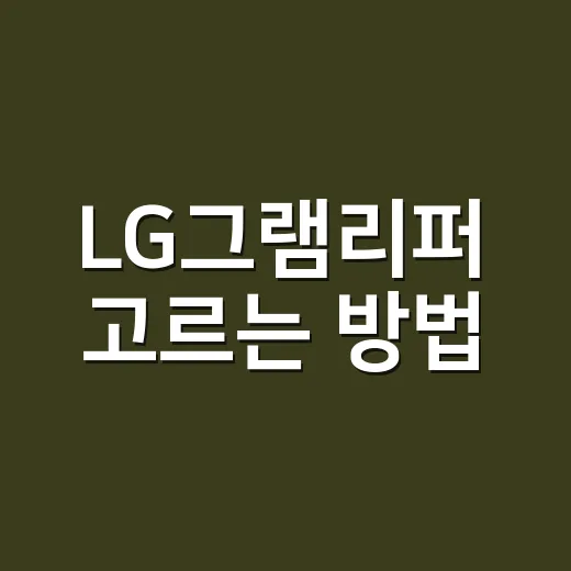 LG그램리퍼 고르는 방법, 초보자도 실수 줄이려면 이렇게 보세요 - 요약