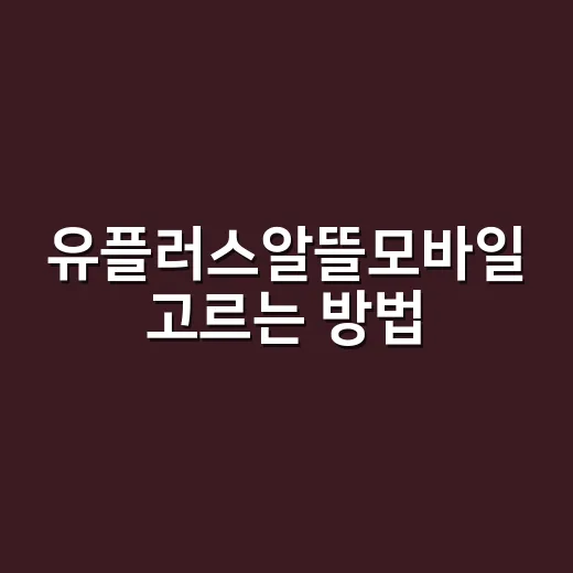 유플러스알뜰모바일 고르는 방법, 요금제부터 셀프개통까지 이렇게 보면 편해요 - 요약
