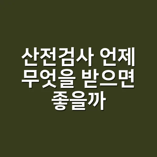 산전검사 언제 무엇을 받으면 좋을까? 초보 임산부를 위한 준비 방법 - 요약