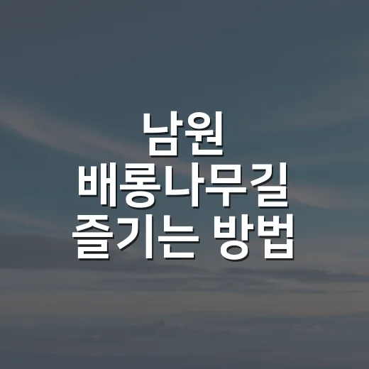 남원 배롱나무길 즐기는 방법, 여름 꽃길 처음 가는 사람을 위한 코스 팁 - 요약