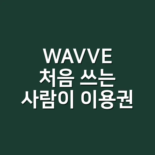 WAVVE 처음 쓰는 사람이 이용권 고르는 방법 - 요약