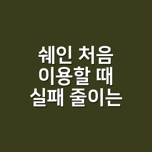 쉐인 처음 이용할 때 실패 줄이는 방법 - 요약