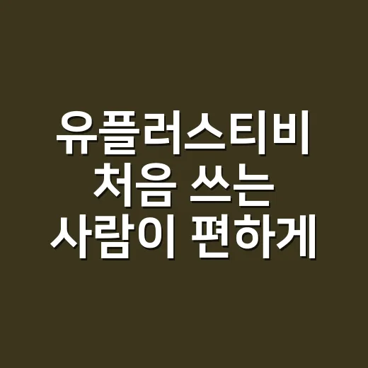 유플러스티비 처음 쓰는 사람이 편하게 설정하는 방법 - 요약