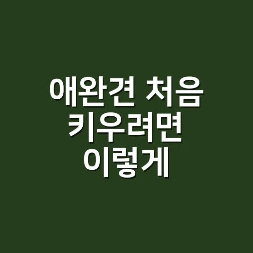 애완견 처음 키우려면 이렇게 시작하세요 - 요약