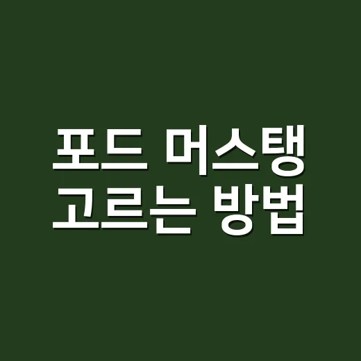 포드 머스탱 고르는 방법, 초보자가 놓치기 쉬운 기준 - 요약