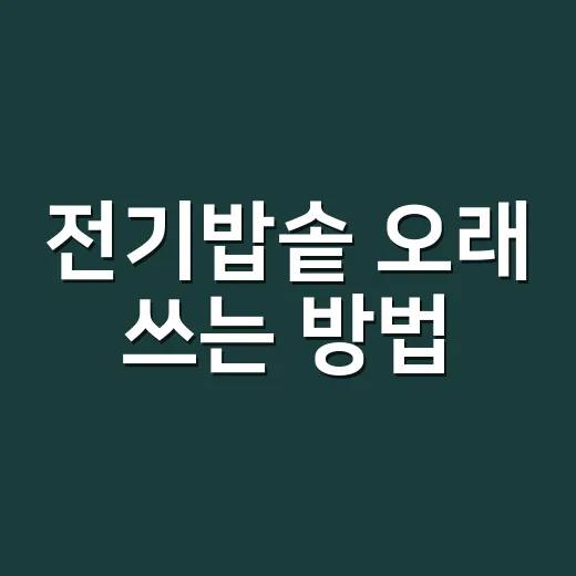 전기밥솥 오래 쓰는 방법, 밥맛 살리고 전기요금 덜 쓰려면 이렇게 - 요약